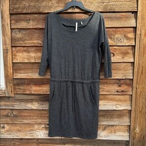 The group babaton  Gray Women's Dress